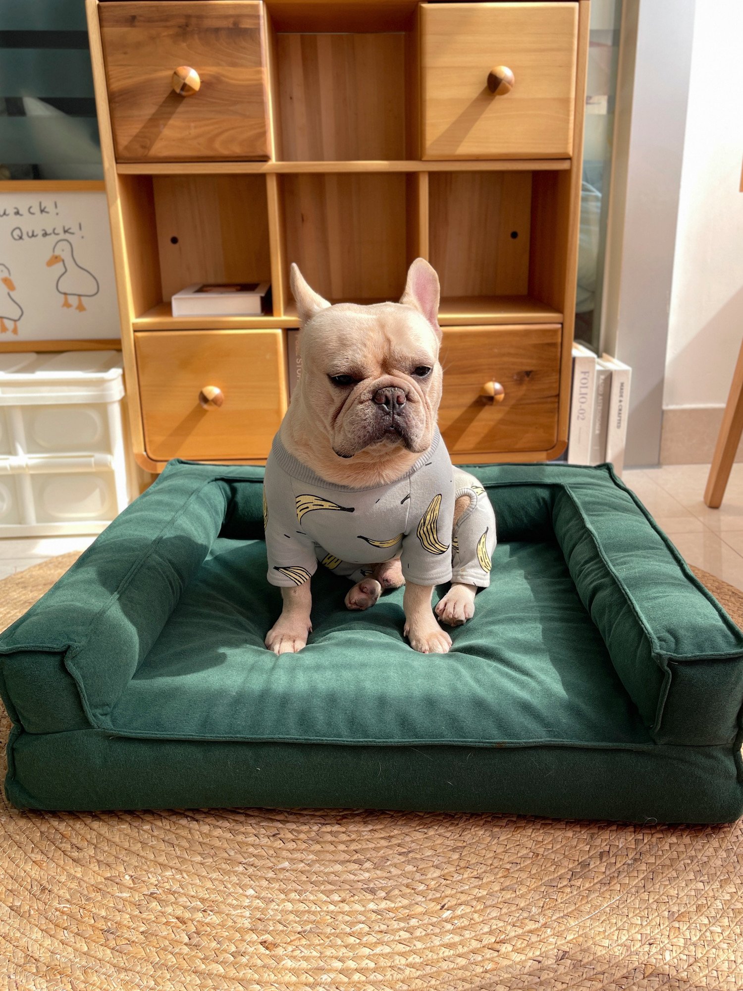 Sofa Dog Bed — Turquoise Everyday Lounge — product view