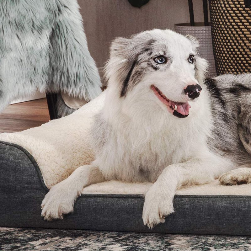 Sofa Dog Bed — Open-Front Cloth Lounge — product view